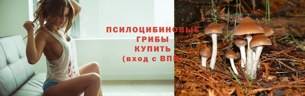 кокс Покачи