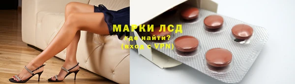 прущие грибы Покровск