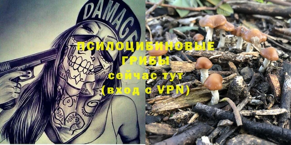 бошки Абинск
