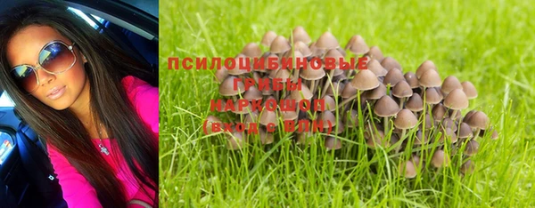 молекула духа Алексеевка