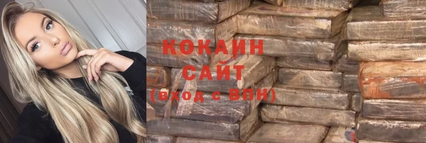 прущие грибы Покровск