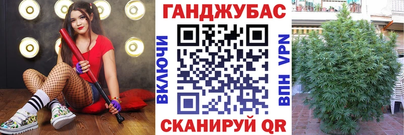 где купить   Тихвин  Канабис семена 